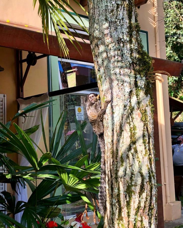 Pousada Pataca De Prata - Pousada De Epoca Petrópolis Zewnętrze zdjęcie